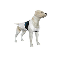 Newcastle United FC 25/26 Home Inspired Graphic Pet Tee Shirt (Size M-2x)