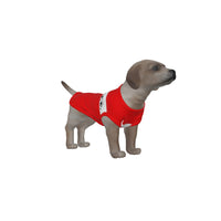 Brentford FC 25/26 Home Inspired Pet Graphic Tee Shirt (Sizes XS-Small)