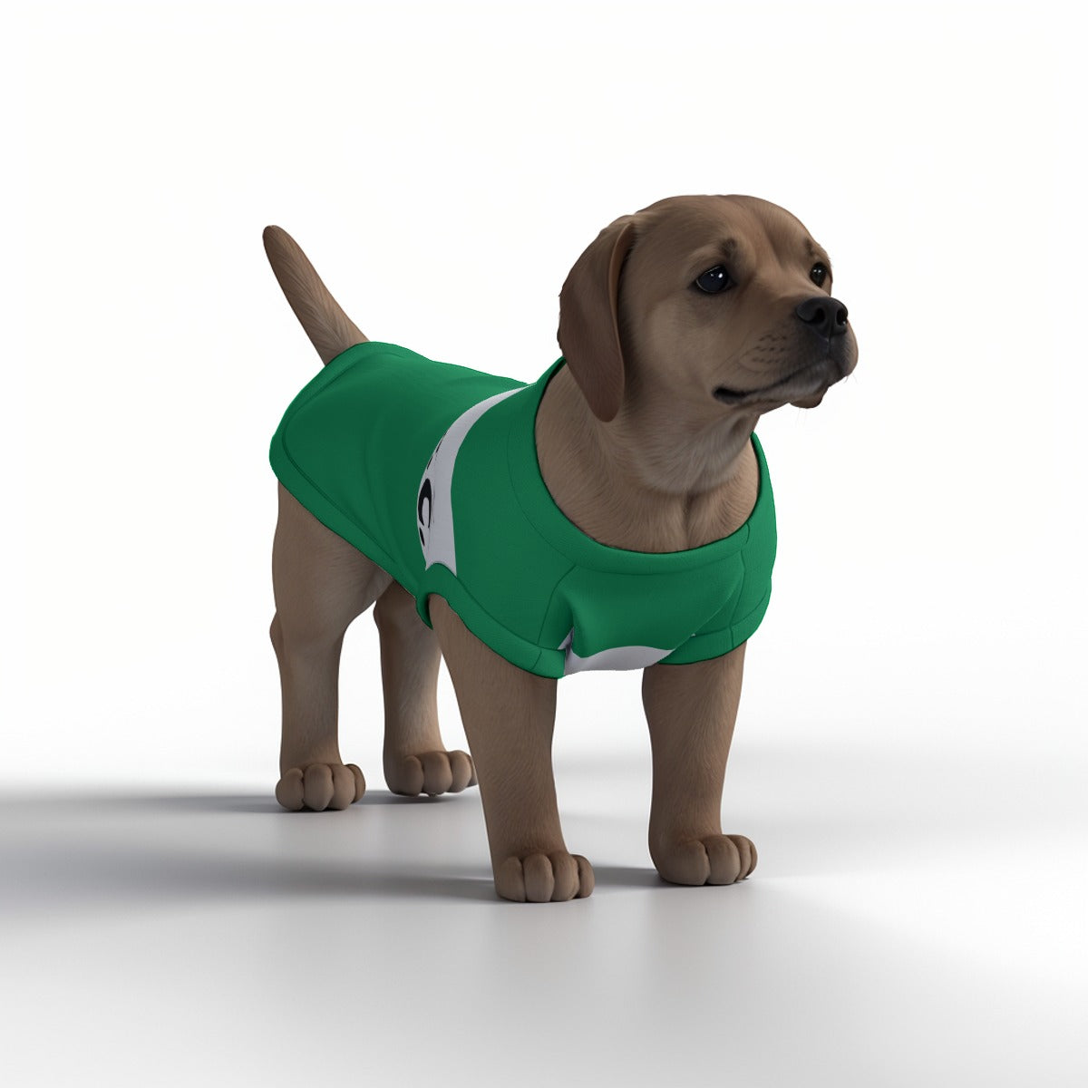 Celtic FC 25/26 Home Inspired Pet Graphic Tee Shirt (Sizes XS-Small)