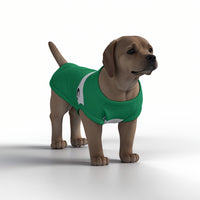 Celtic FC 25/26 Home Inspired Pet Graphic Tee Shirt (Sizes XS-Small)