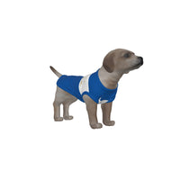 Leicester City FC 25/26 Home Inspired Pet Graphic Tee Shirt (Sizes XS-Small)