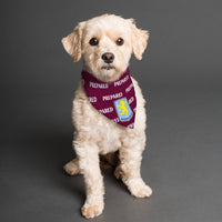 Aston Villa FC 24/25 Kit Inspired Premium 2-in-1 Bandana