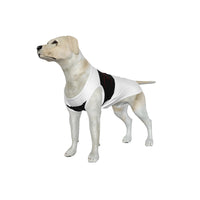 Fulham FC 25/26 Home Inspired Graphic Pet Tee Shirt (Size M-2x)