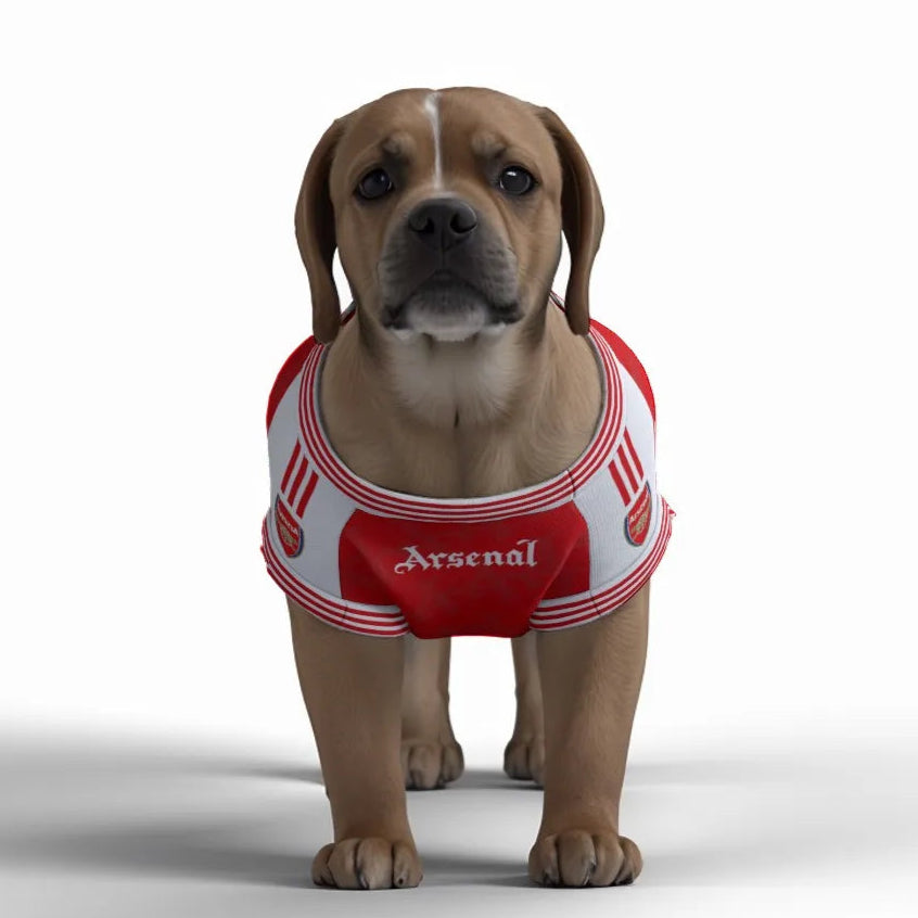 Arsenal FC 25/26 Home Kit Inspired Personalized Tank