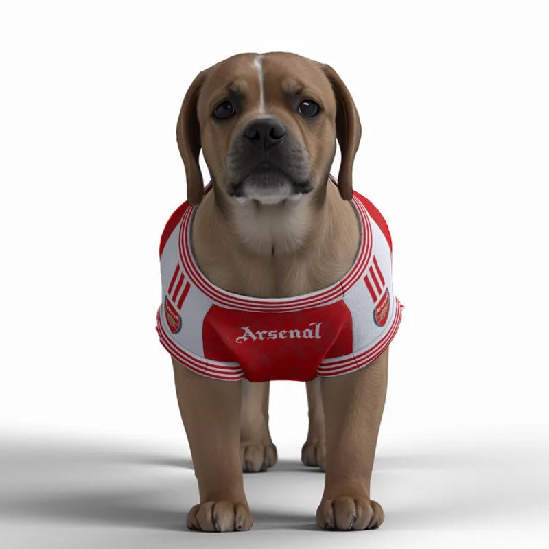 Arsenal FC 25/26 Home Kit Inspired Personalized Tank
