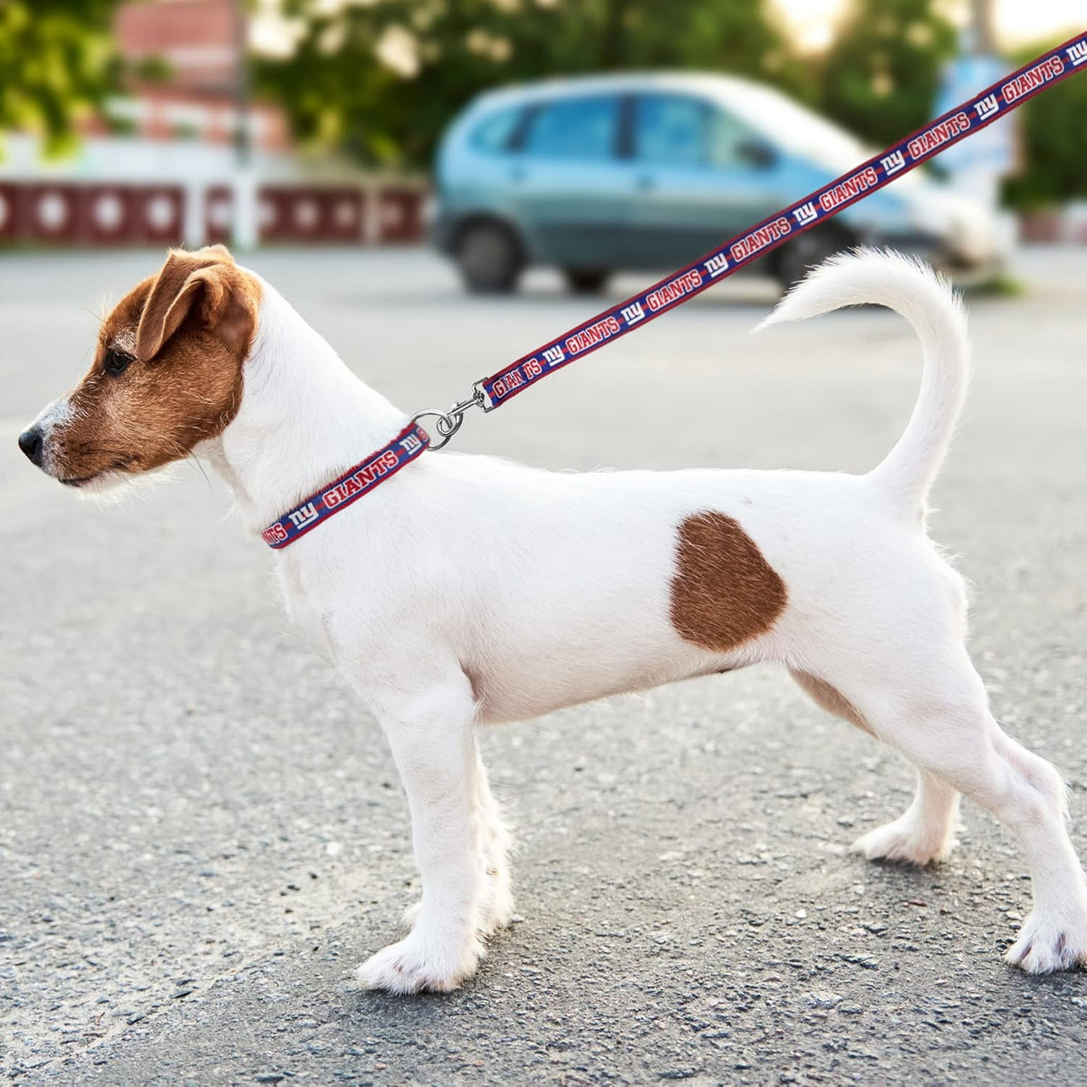 New York Giants Dog Satin Collar or Leash