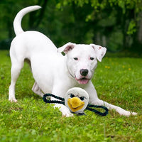 Philadelphia Eagles Mascot Rope Toys