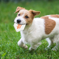 San Francisco Giants Hard Nylon Home Plate Chew Toy