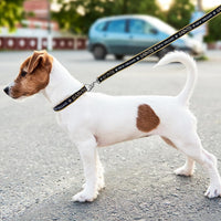 New Orleans Saints Dog Satin Collar or Leash