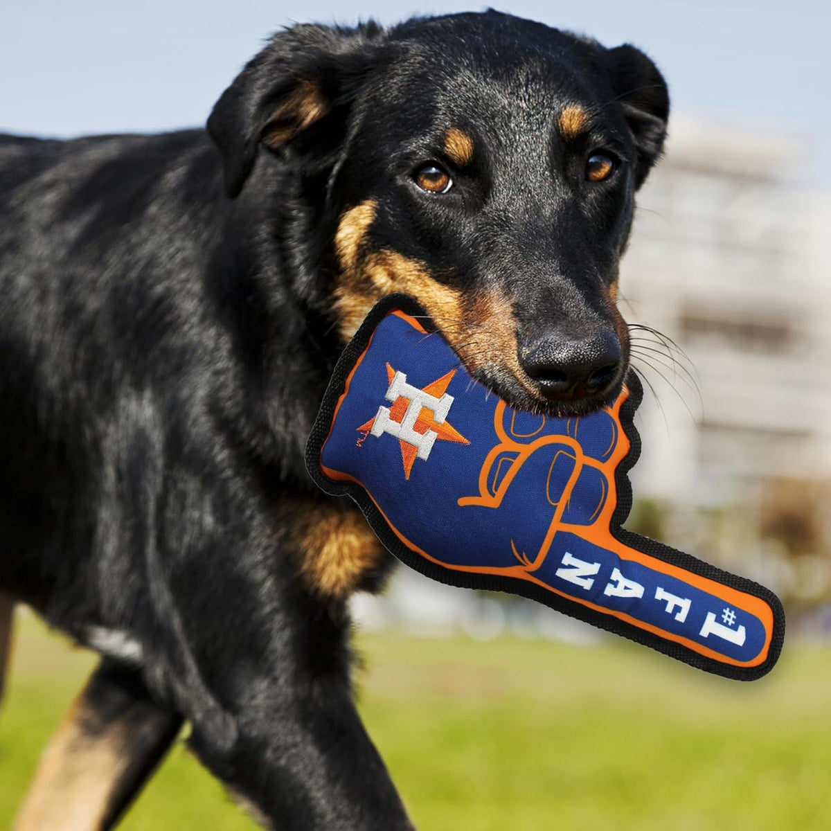 Houston Astros #1 Fan Toys