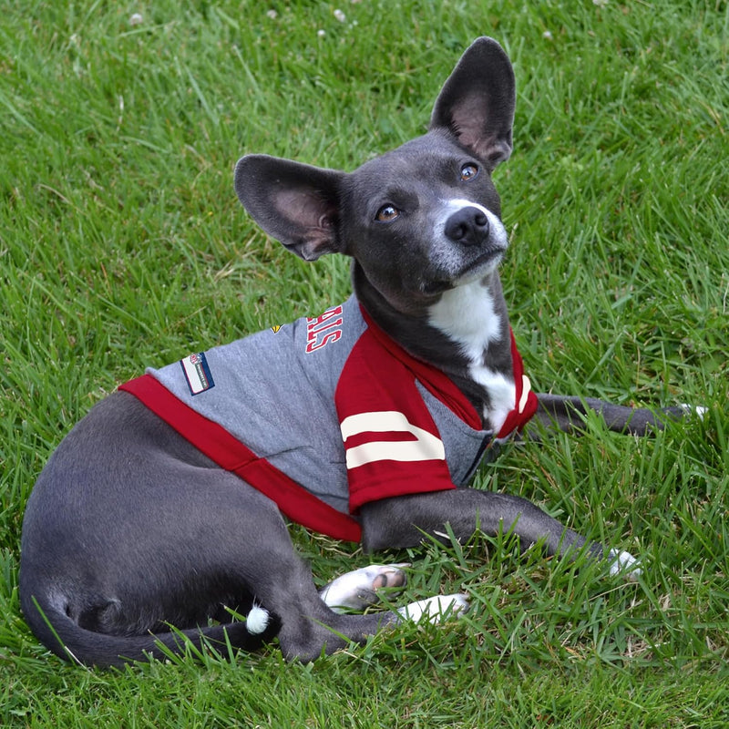 Louisville Cardinals Lightweight Pet Hoodie