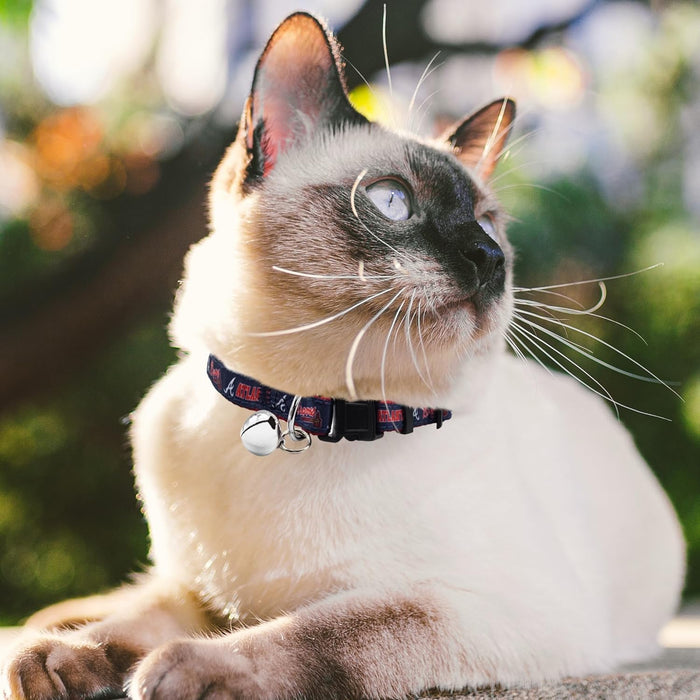 Atlanta Braves Cat Satin Collar