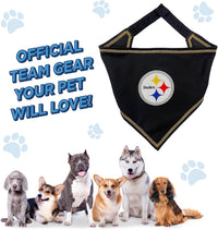 Pittsburgh Steelers Tie-On Bandana
