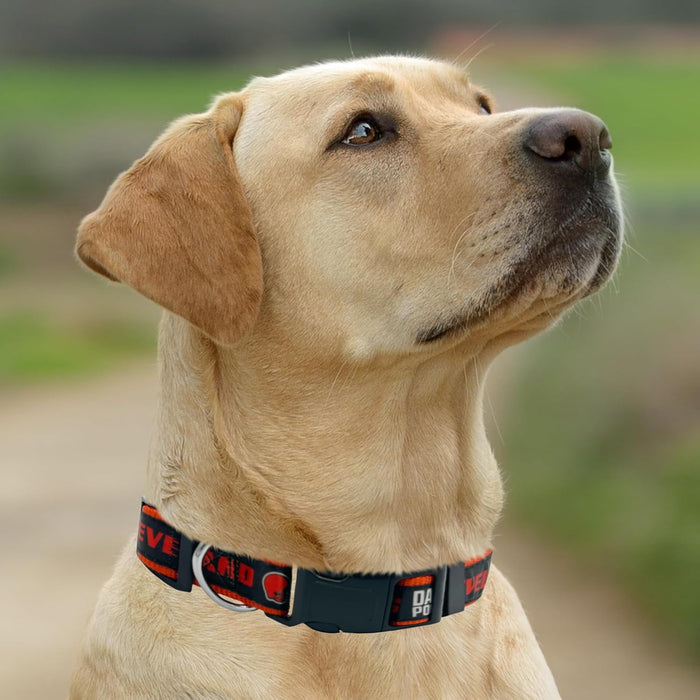 Cleveland Browns Dog Satin Collar or Leash