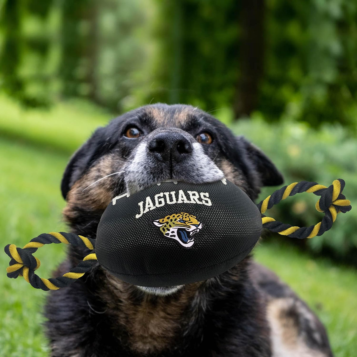 Jacksonville Jaguars Football Rope Toy