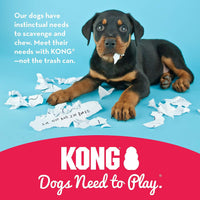KONG Puppy Flyer
