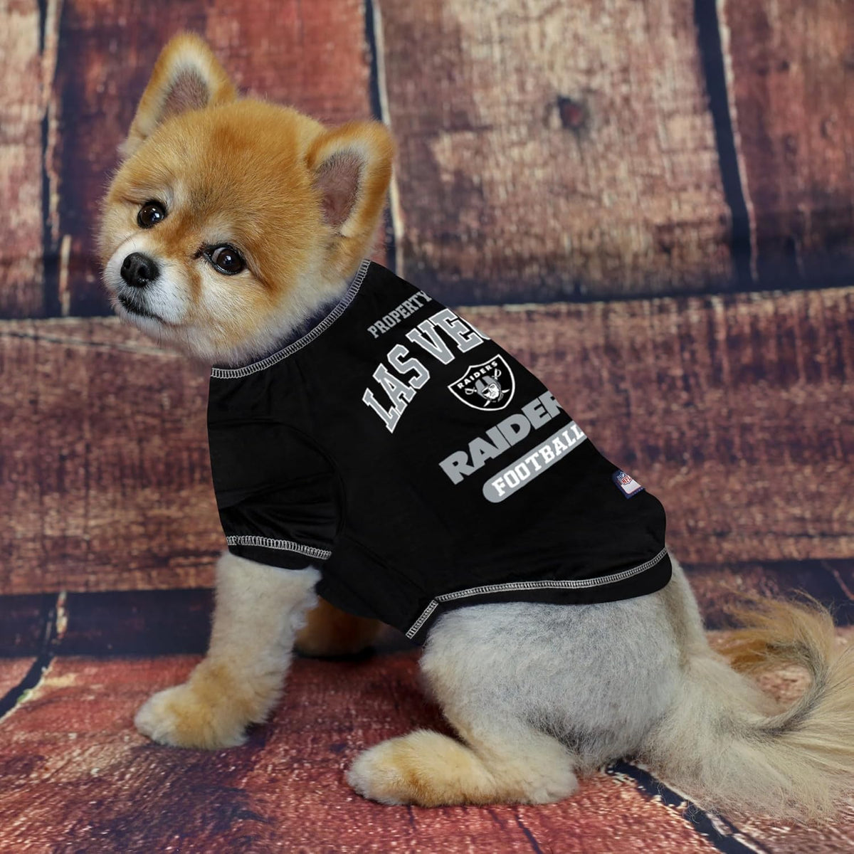 Las Vegas Raiders Athletics Tee Shirt