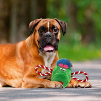 Philadelphia Phillies Mascot Rope Toys