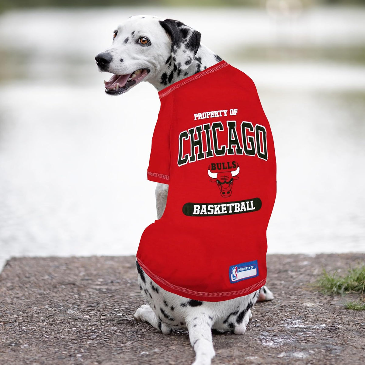 Chicago Bulls Athletics Pet Shirt