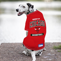 Chicago Bulls Athletics Pet Shirt