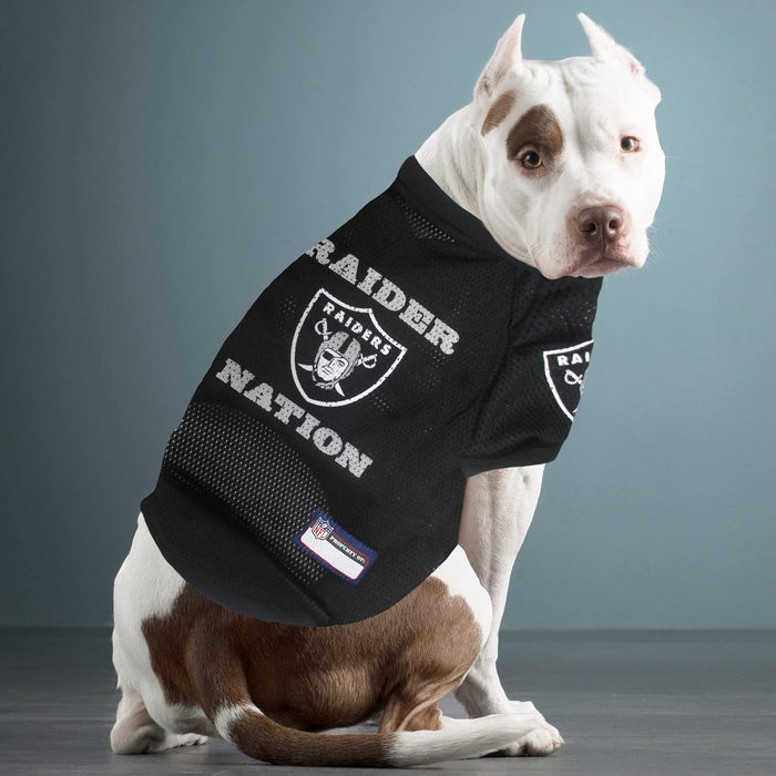 Las Vegas Raiders Mesh Pet Shirt