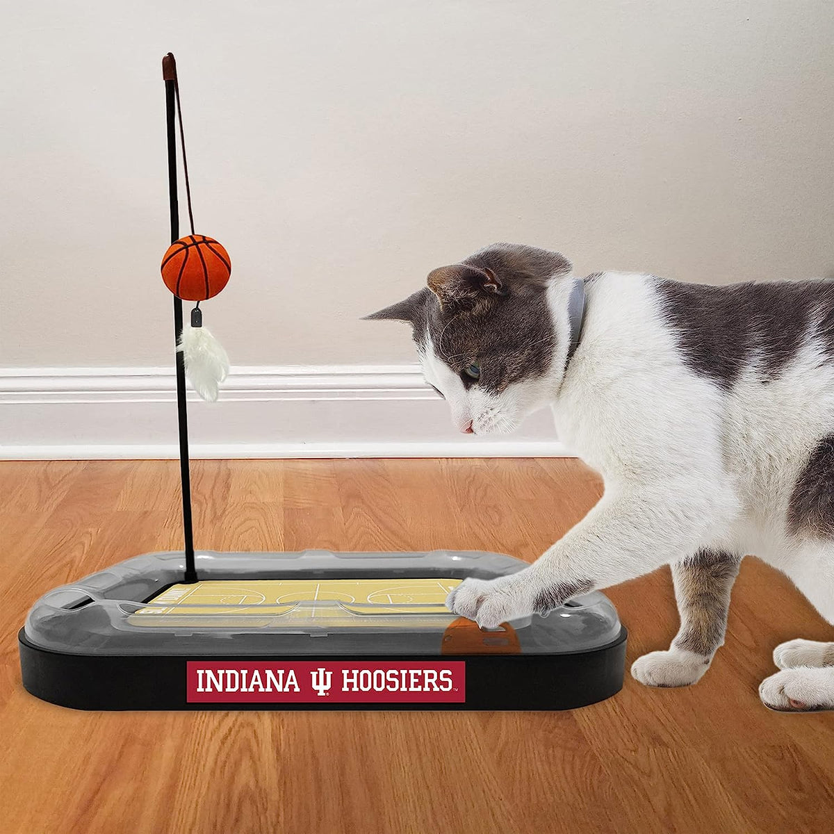 IN Hoosiers Basketball Cat Scratcher Toy