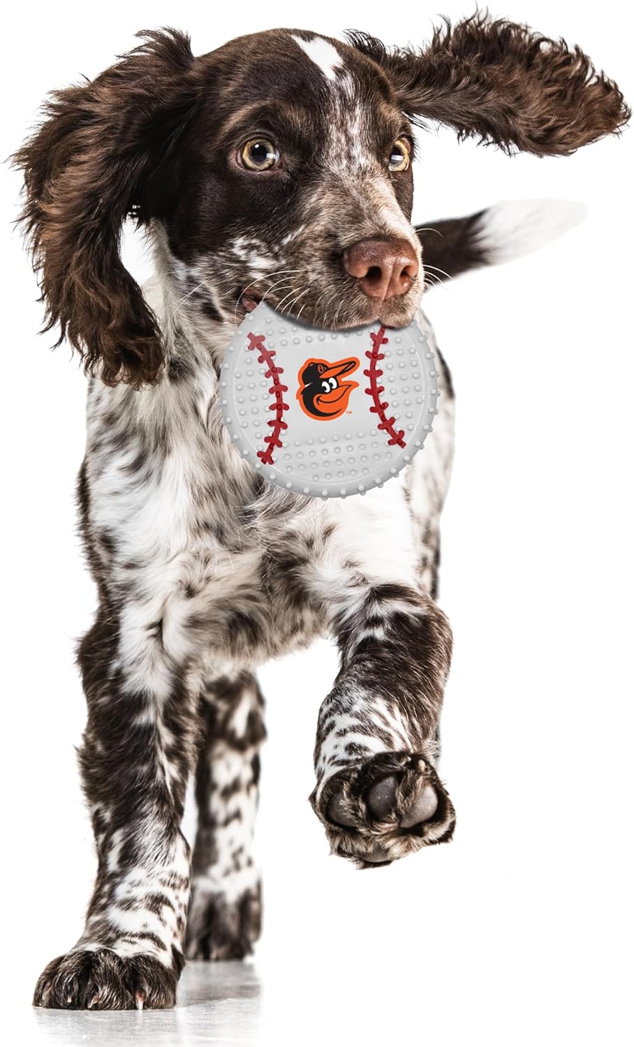 Baltimore Orioles Hard Nylon Baseball Chew Toy