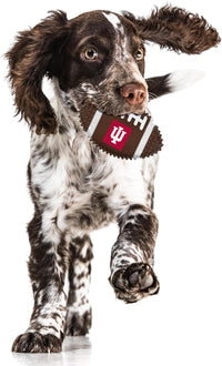 IN Hoosiers Hard Nylon Football Chew Toy