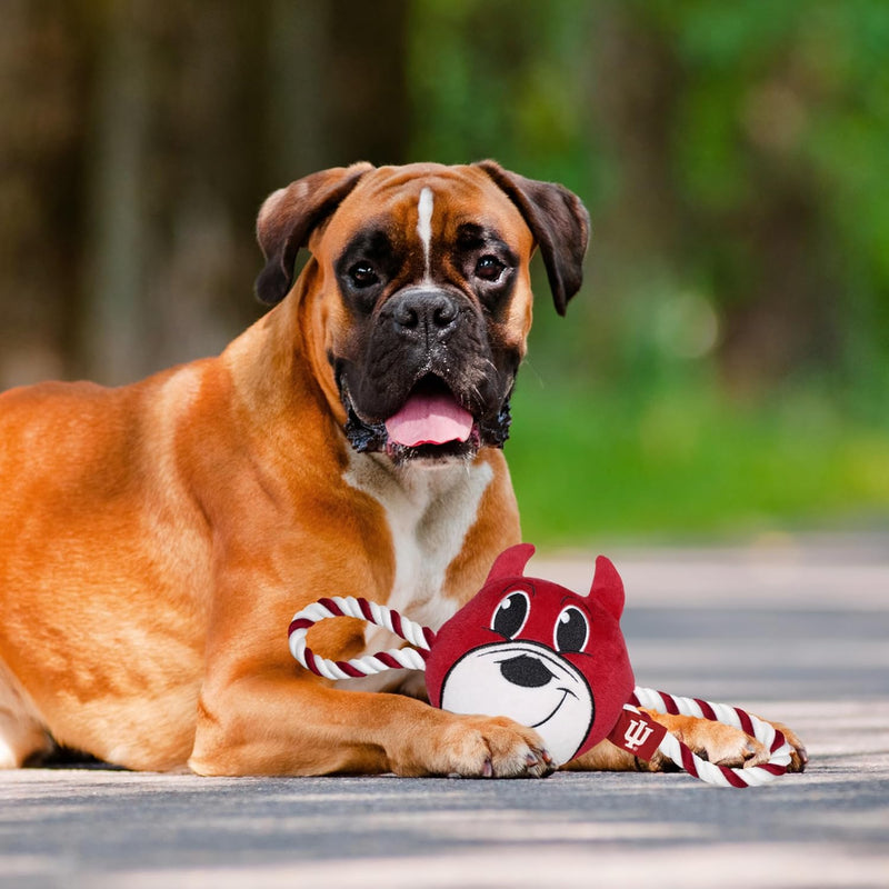 IN Hoosiers Mascot Rope Toys