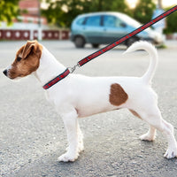 Tampa Bay Buccaneers Dog Satin Collar or Leash