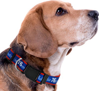 Philadelphia 76ers Dog Satin Collar or Leash