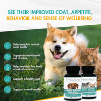 AminAvast Kidney Support for Cats, 60 capsules