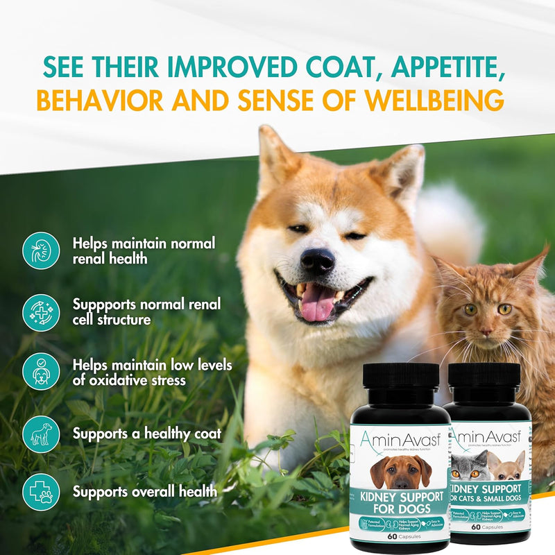 AminAvast Kidney Support for Cats, 60 capsules