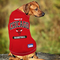 Chicago Bulls Athletics Pet Shirt