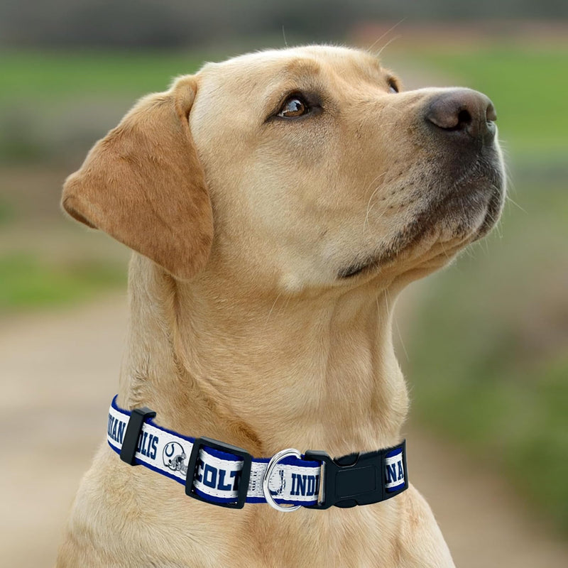 Indianapolis Colts Dog Satin Collar or Leash