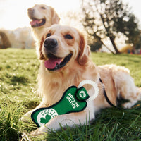 Boston Celtics Dental Tug Toys