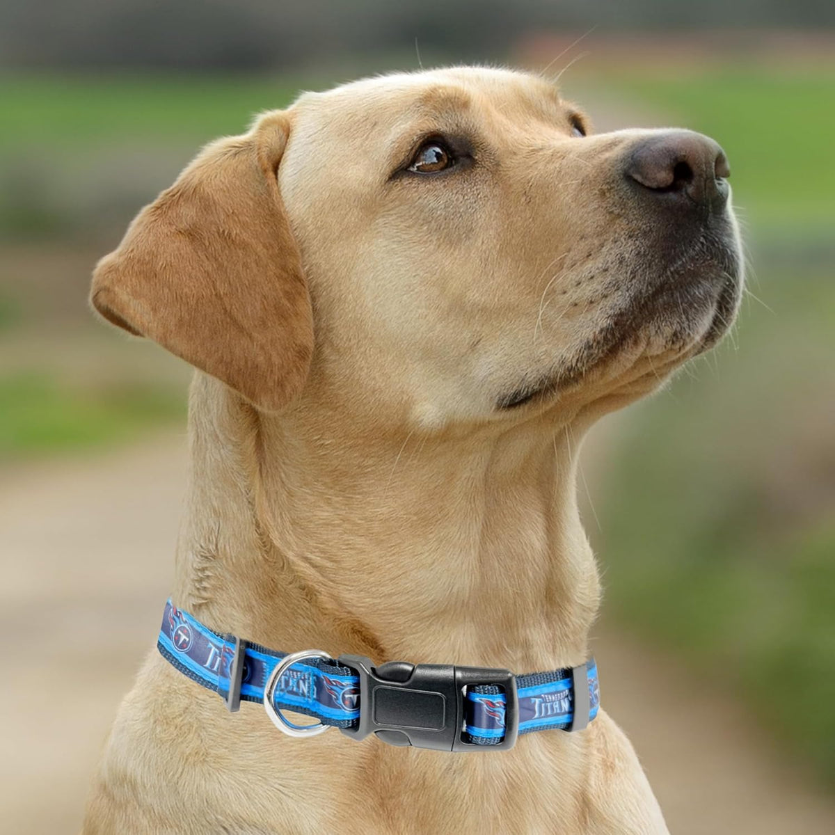 Tennessee Titans Dog Satin Collar or Leash