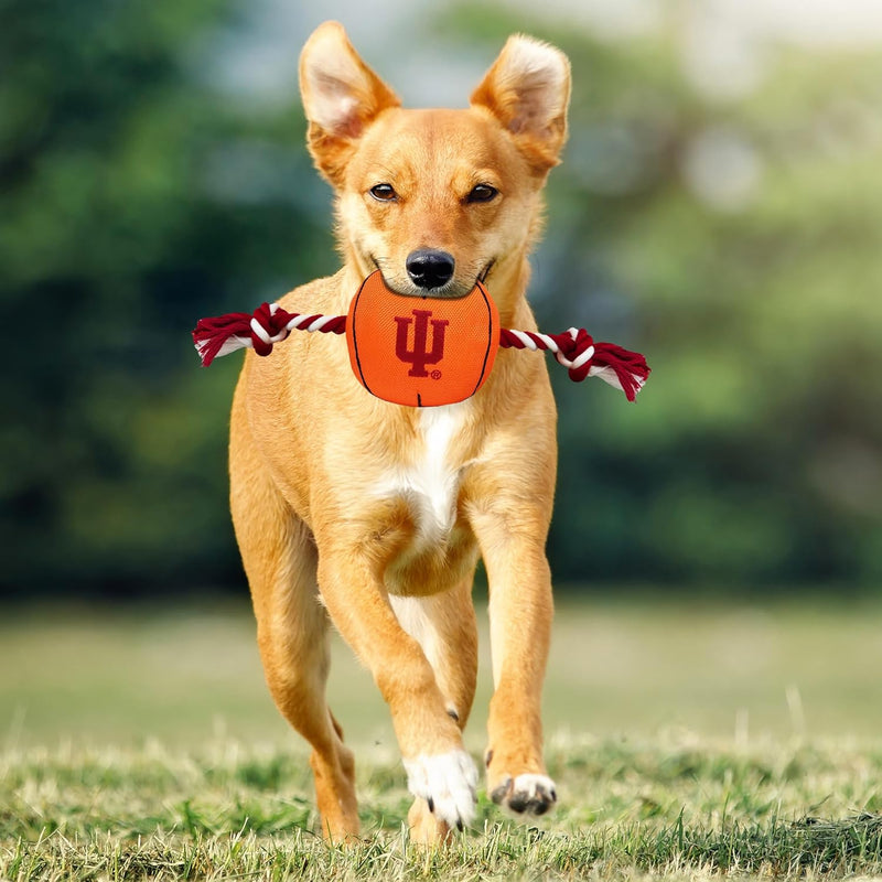 IN Hoosiers Basketball Rope Toys