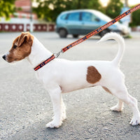 Chicago Bears Dog Satin Collar or Leash