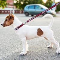 New England Patriots Dog Satin Collar or Leash