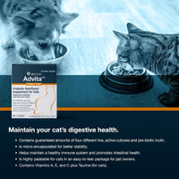 VetOne Advita Probiotic Powder Nutritional Supplement for Cats, 1gm