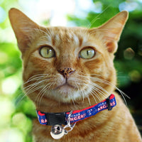Texas Rangers Cat Collar