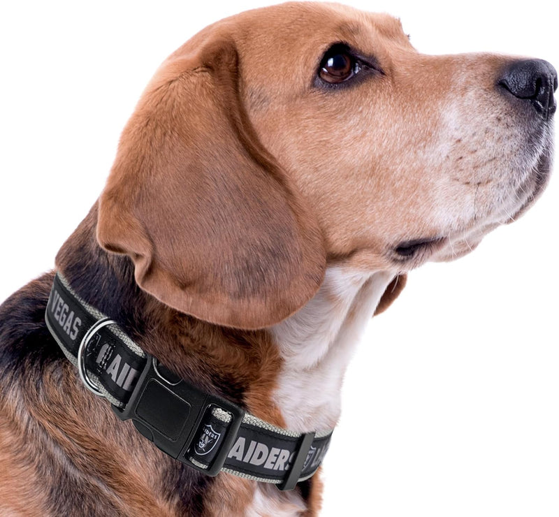 Las Vegas Raiders Dog Satin Collar or Leash