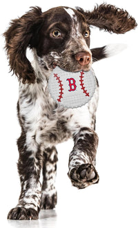 Boston Red Sox Hard Nylon Baseball Chew Toy