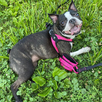 Easy Fit Wrist Band Surfer Leash