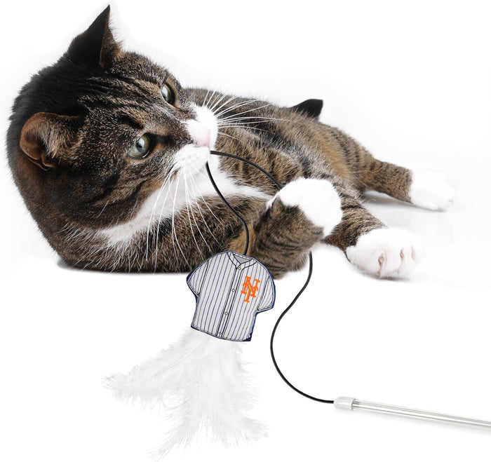 New York Mets Team Jersey Wand with Cat Nip