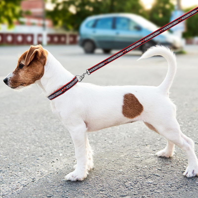 Chicago Bulls Dog Satin Collar or Leash