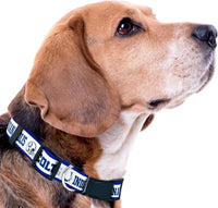 Indianapolis Colts Dog Satin Collar or Leash