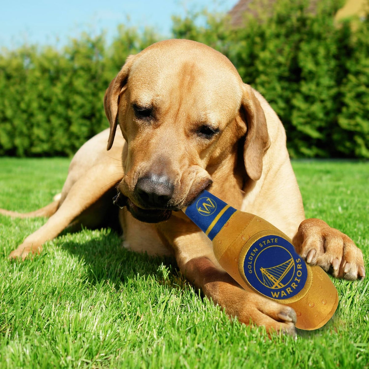 Golden State Warriors Bottle Plush Toys