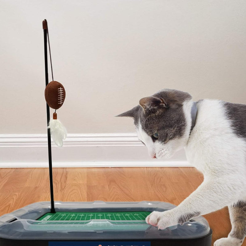 TX A&M Aggies Football Cat Scratcher Toy